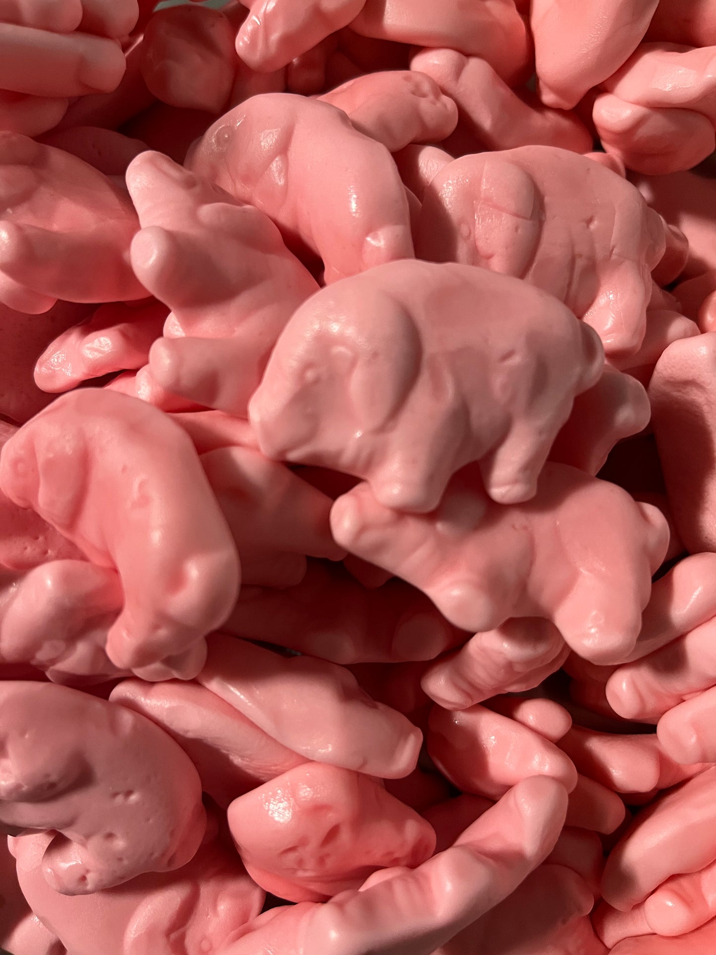 Gummy Raspberry Pigs