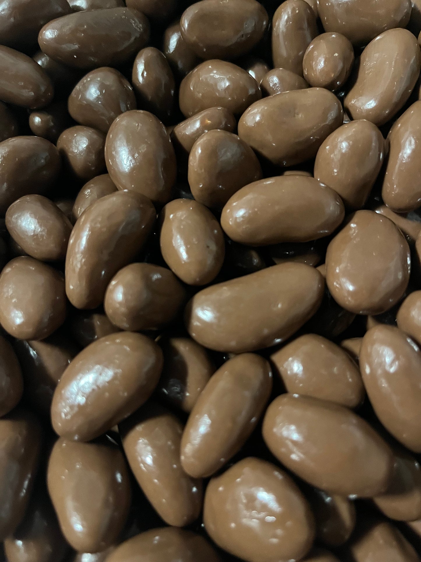 Chocolate Covered Brazil Nuts