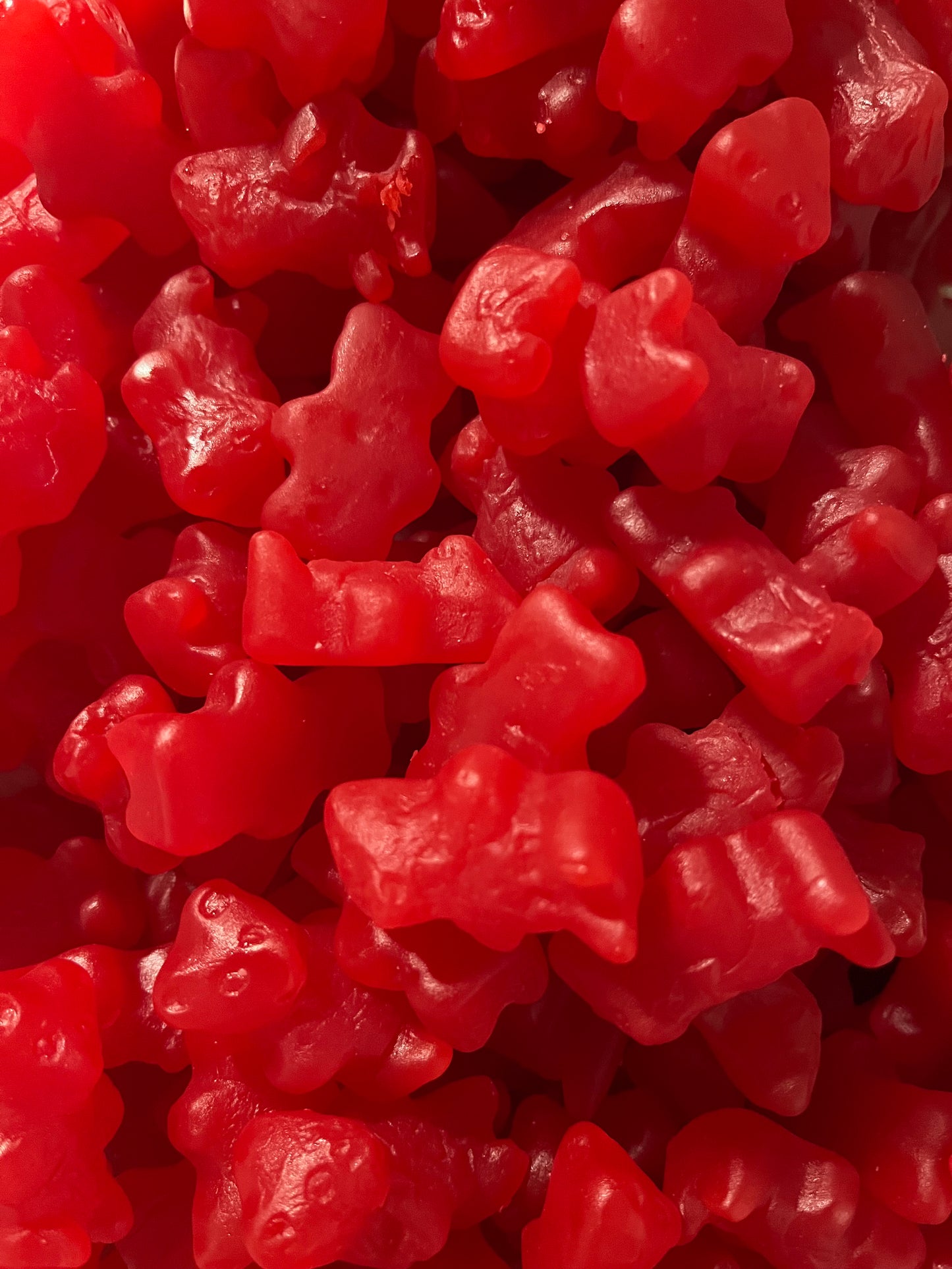 CC Juju Cinnamon Bears