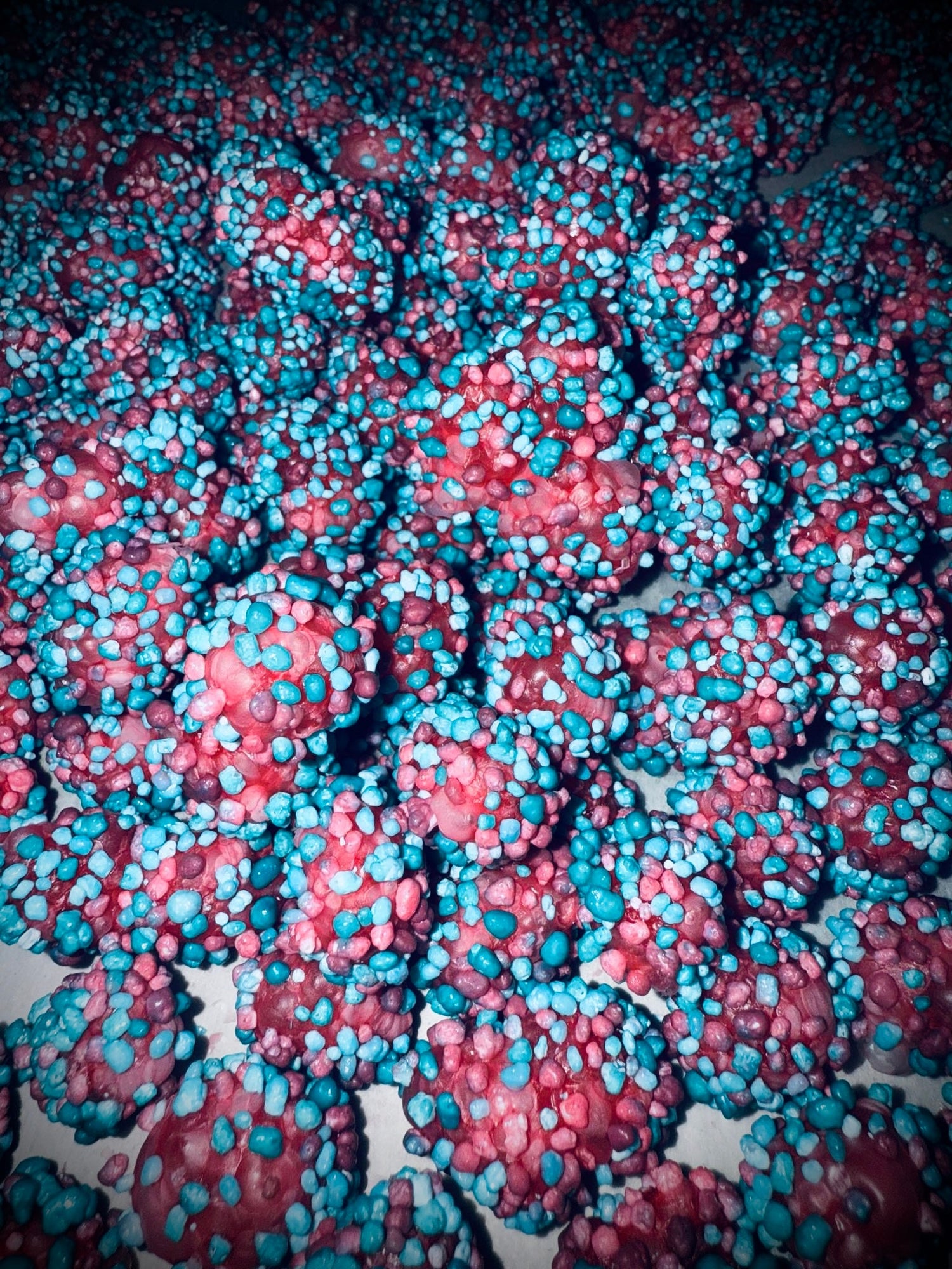 Freeze Dried Candy
