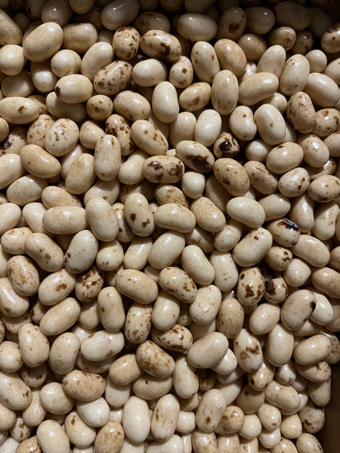 Toasted Marshmallow Jelly Beans