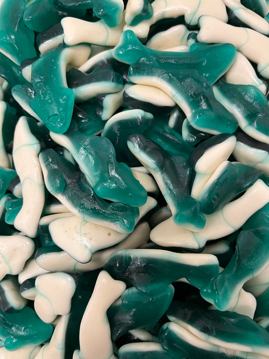 CC Gummy Sharks